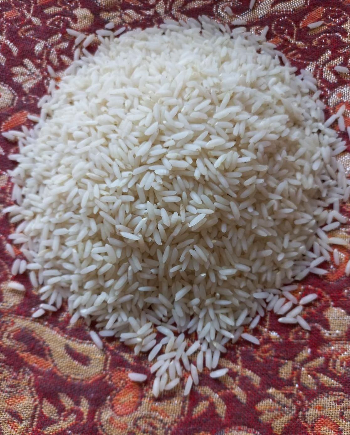 برنج ایرانی کشت دوم غلامعباس فلاح وپسران کیسه سبز|خوردنی و آشامیدنی|مشهد, رسالت|دیوار