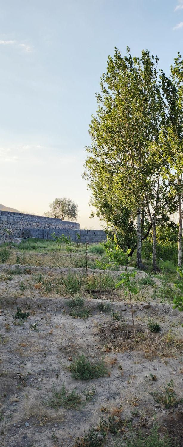 باغ/حصار/اسکو/450متر|فروش خانه و ویلا|تبریز, |دیوار