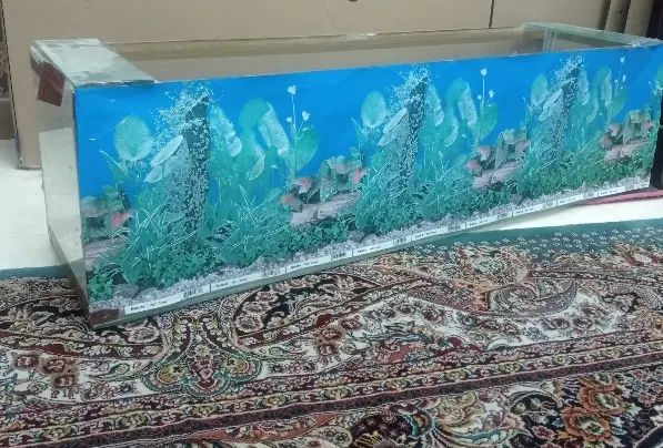 آکواریوم سنگ و صدف حراج حراج|حراج|کرج, گلشهر|دیوار