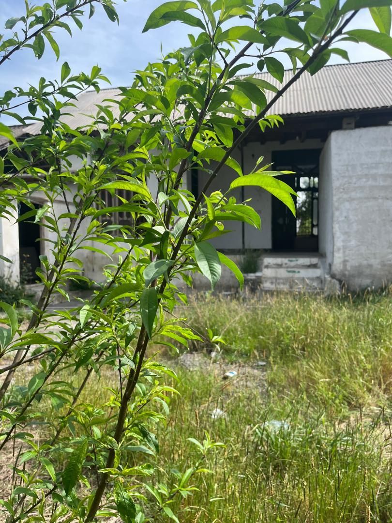 خونه کلنگی ۱۸۰ متری/فروش فوری/قیمت کل..|فروش خانه و ویلا|نور, |دیوار