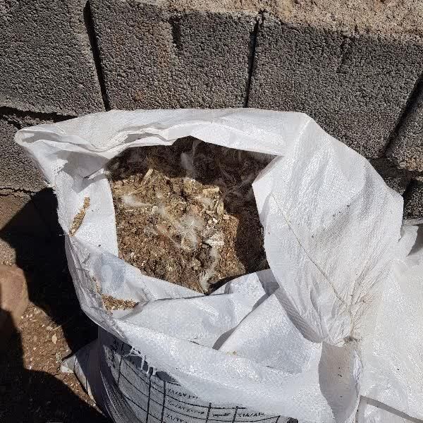 کود مرغ|گل و گیاه طبیعی|رفسنجان, |دیوار