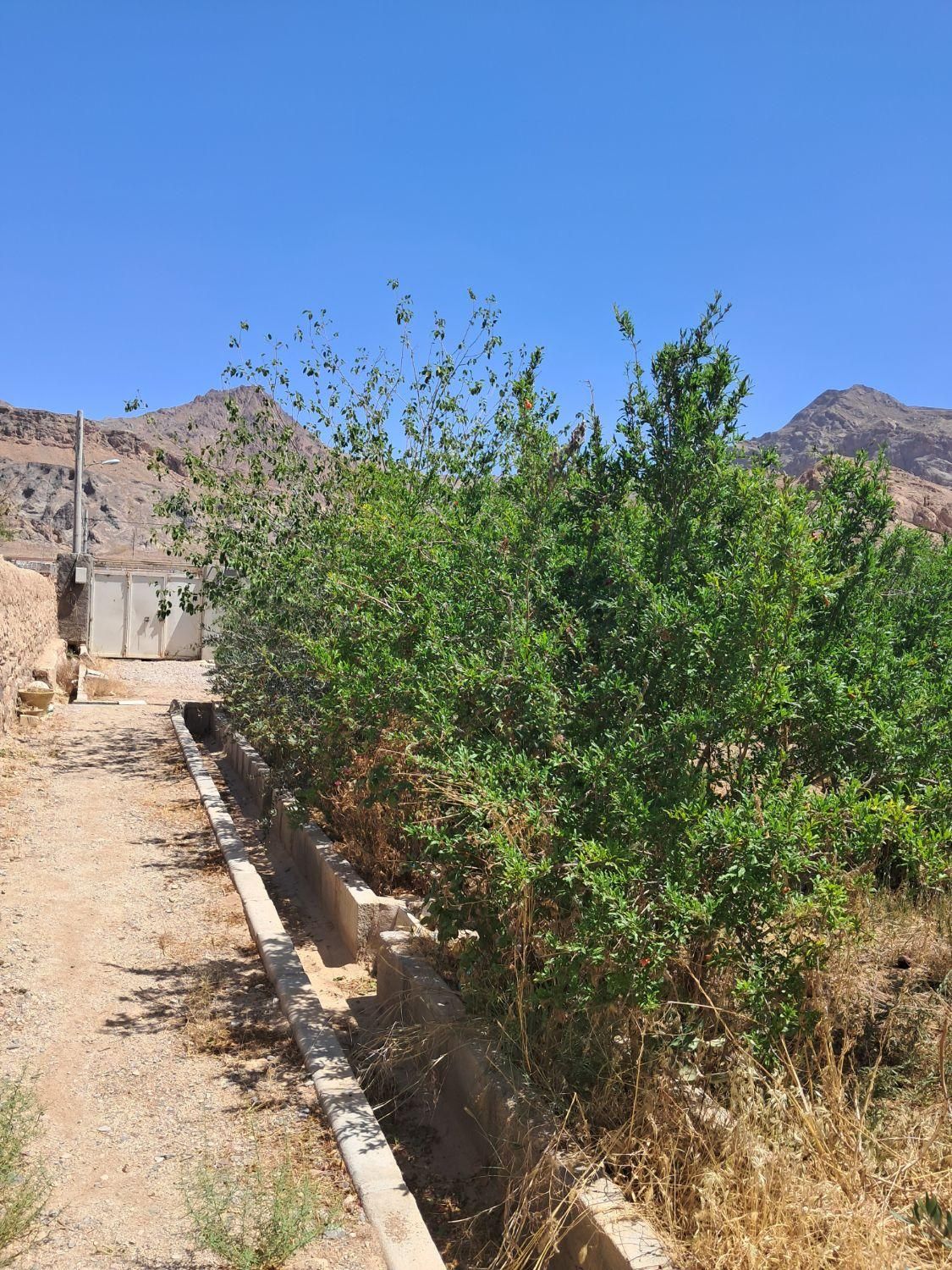 فروش یامعاوضه خانه باغ|فروش خانه و ویلا|تفت, |دیوار