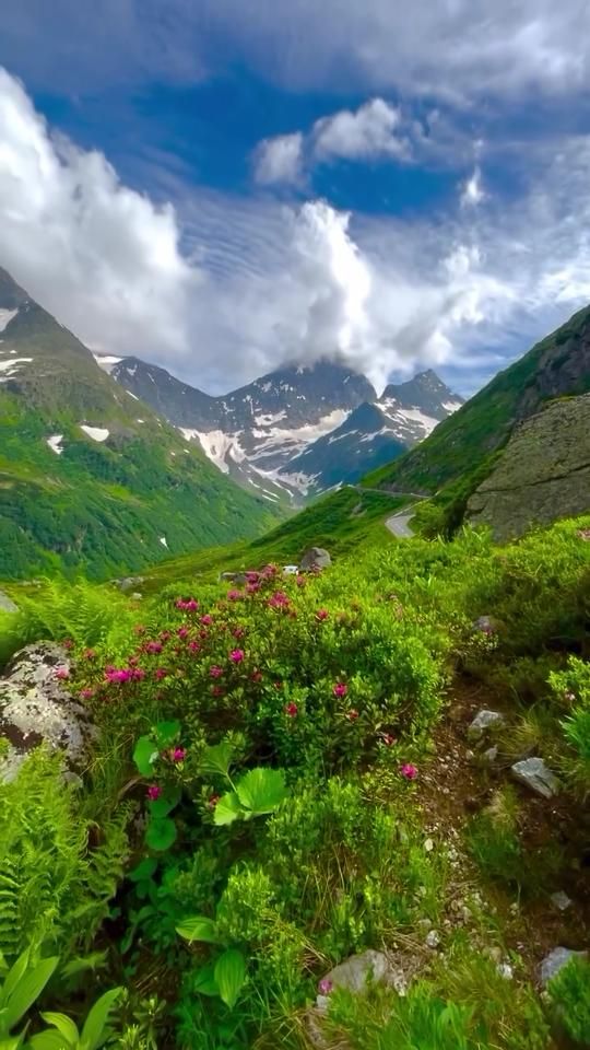 جایی برای اسکان میخوام|اسکان اضطراری|بهبهان, |دیوار