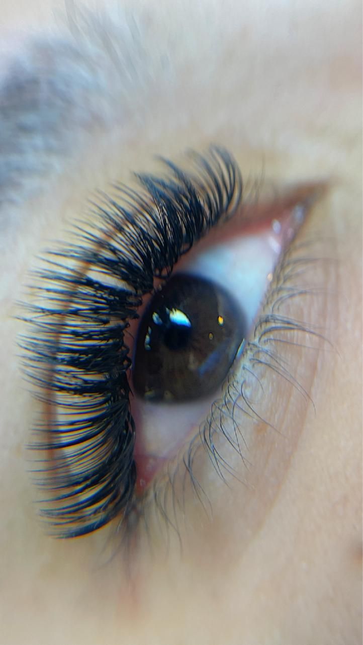 آموزش تخصصی مژه و بافت مو|خدمات آموزشی|شیراز, ارم|دیوار