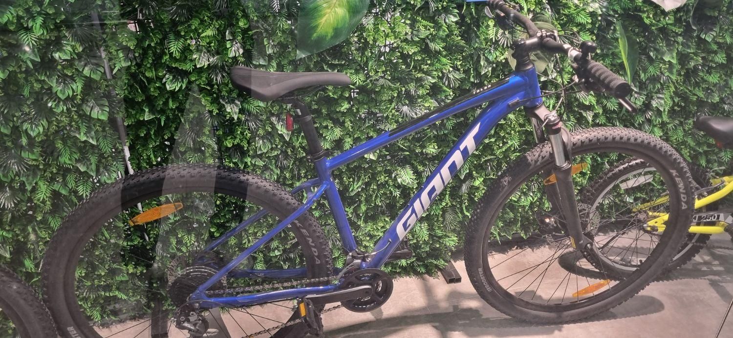 دوچرخه جاینت تالون ۳ سایز مدیوم ۲۹|دوچرخه، اسکیت، اسکوتر|تهران, تهرانسر شرقی|دیوار