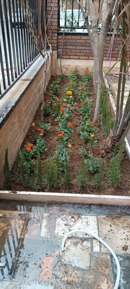 خدمات باغبانی کوددهی گلکاری کاشت گل هرس درختان|خدمات باغبانی و درختکاری|اسلام‌شهر, شهرک قائمیه|دیوار