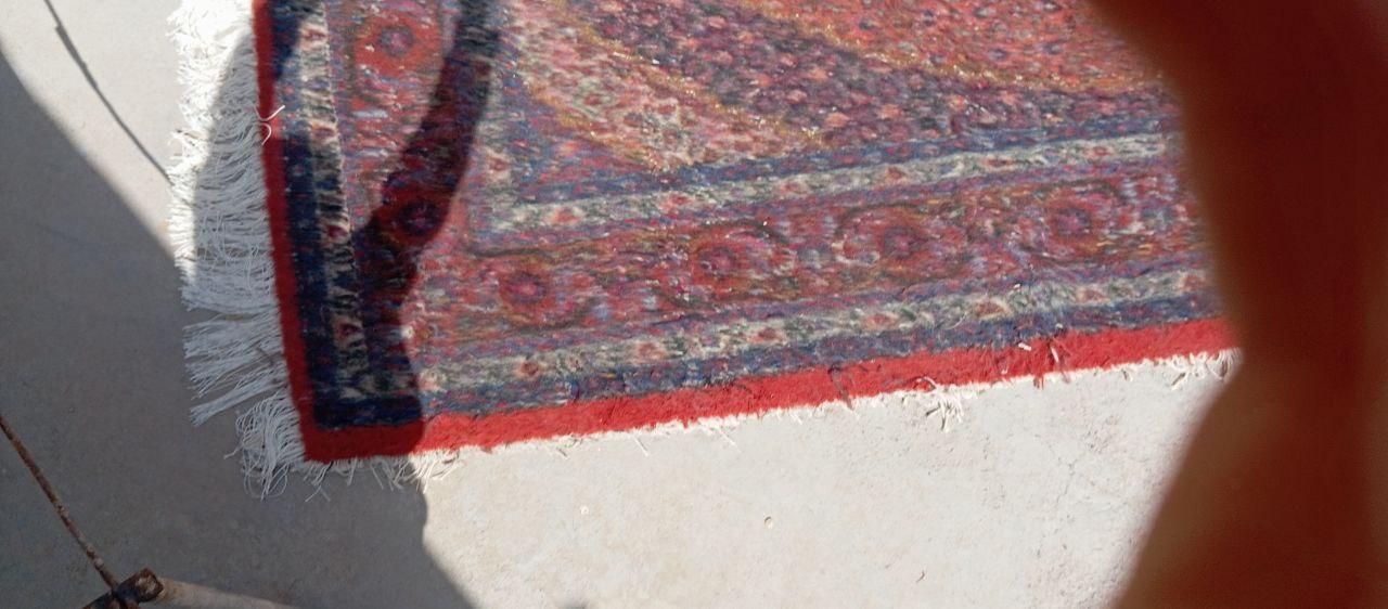 فرش وگلیم|گلیم، جاجیم، گبه|اردبیل, |دیوار
