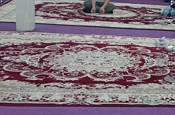 دوتخته فرش متفاوت|فرش|ملایر, |دیوار
