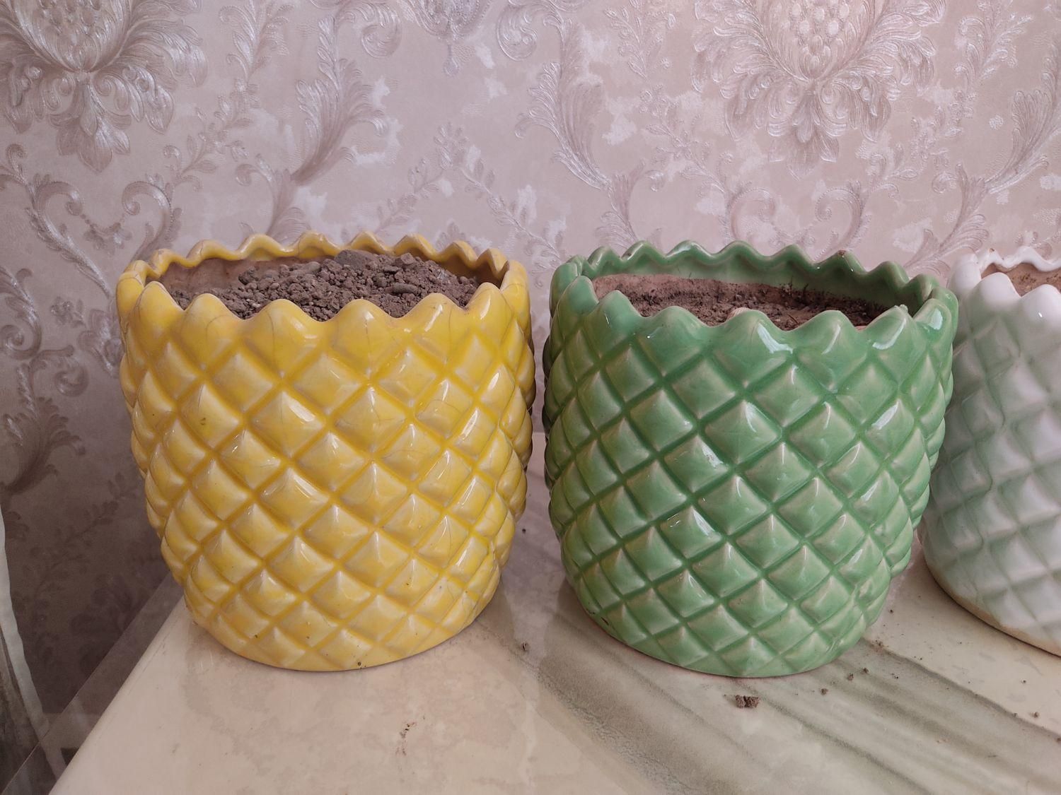 گلدان سفالی|گل و گیاه طبیعی|رباطکریم, شترخوار|دیوار