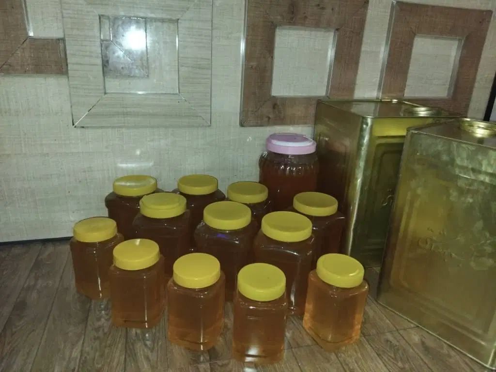 مقدار چند کیلو عسل گون  درجه یک به شرط تست|خوردنی و آشامیدنی|اصفهان, سپاهان‌شهر|دیوار