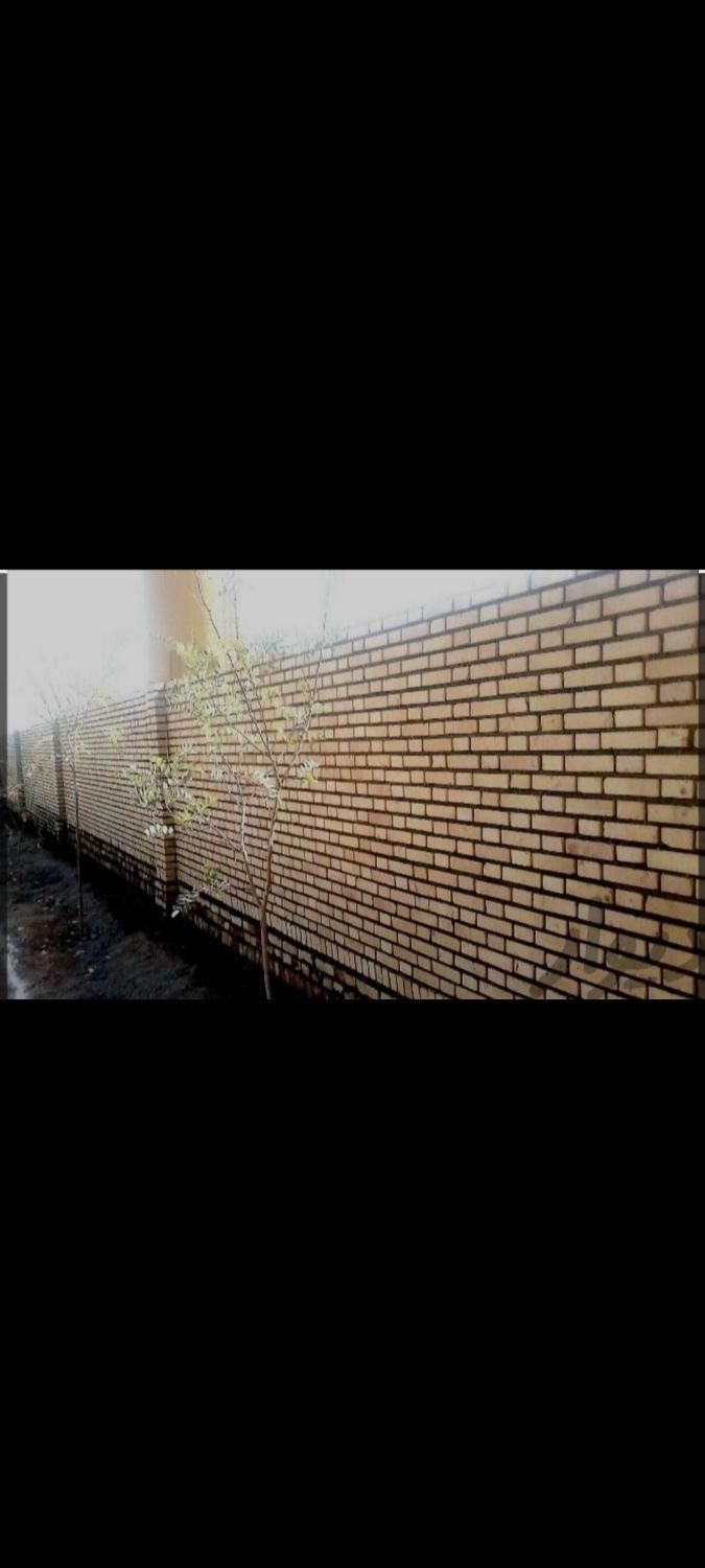 استابناصفرتاصدازپی تابام سیمان کاری دیوار چینی|خدمات پیشه و مهارت|مشهد, بهمن|دیوار