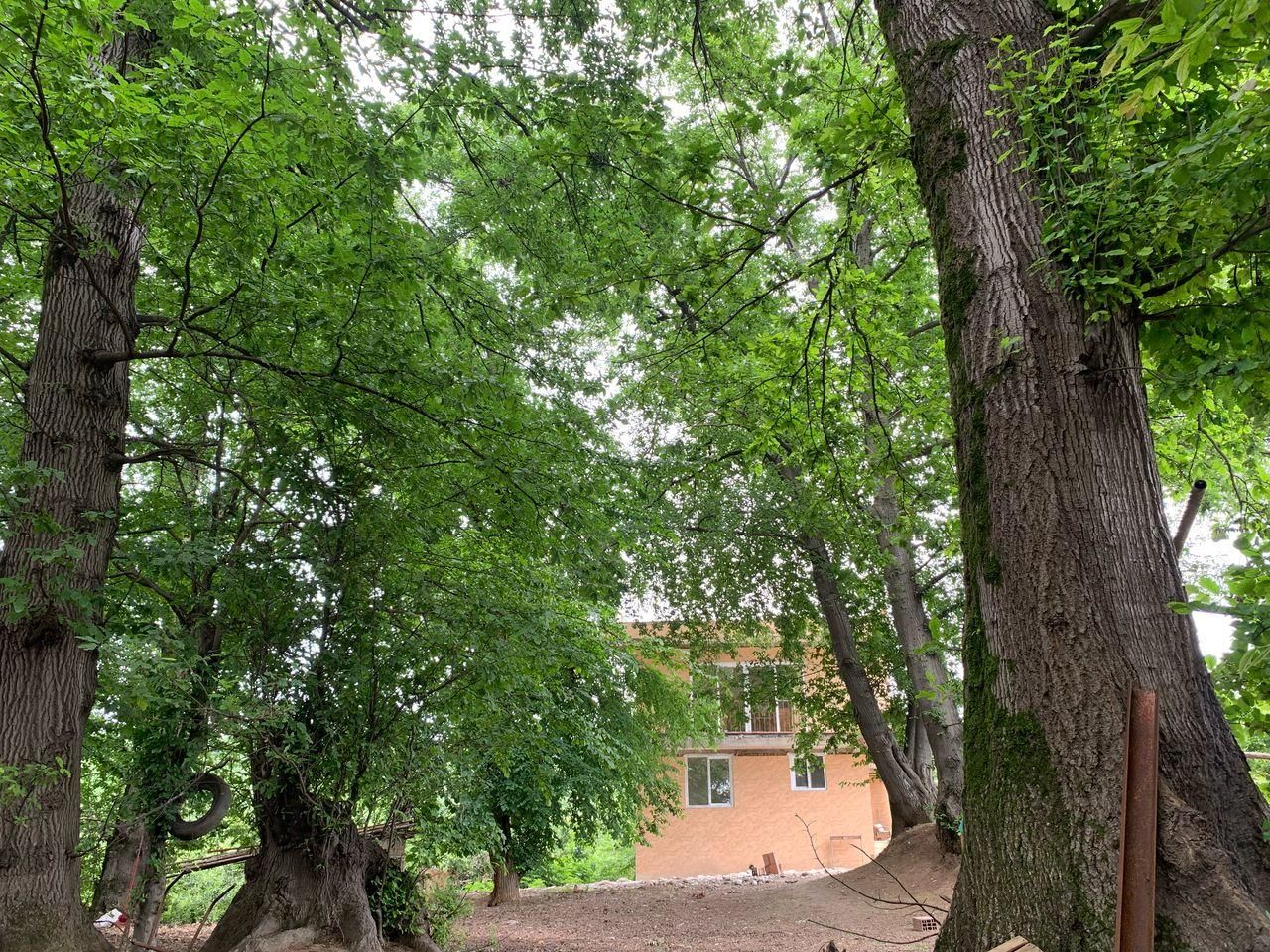 اجاره روزانه/هفتگی/ماهانه ویلا ۷۰ متری|اجارهٔ کوتاهمدت ویلا و باغ|قائمشهر, |دیوار