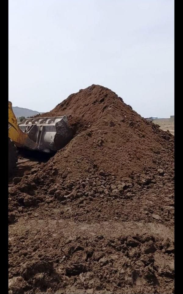 پخش کود گاوی گوسفندی خاک باغچه و..|خدمات باغبانی و درختکاری|کرج, کمالشهر|دیوار