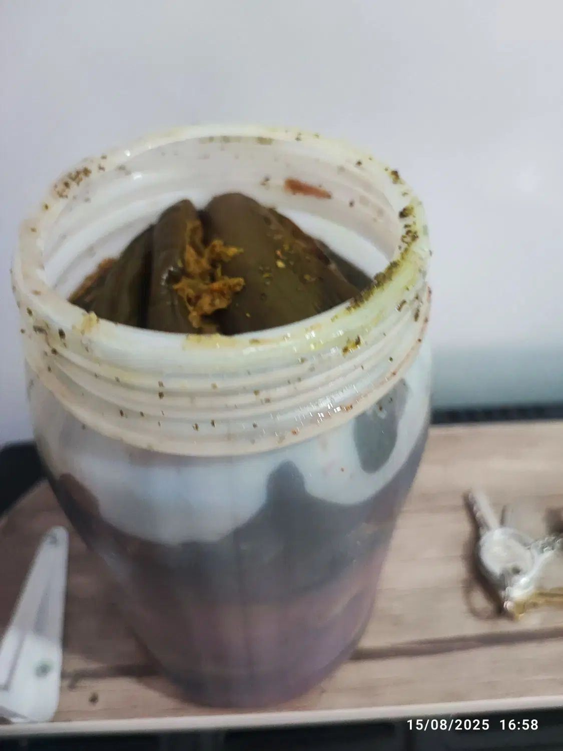 خیارشور خانگی ترشی بادمجان خانگی|خوردنی و آشامیدنی|تهران, باشگاه نفت|دیوار