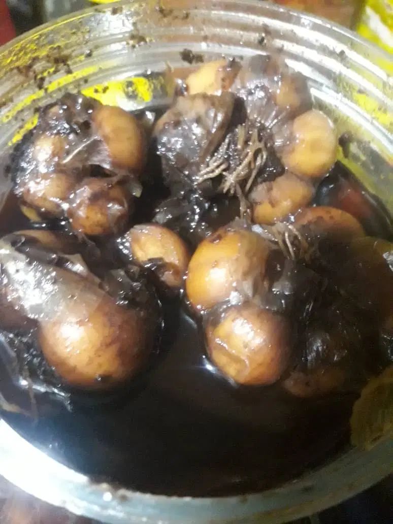 ترشی سیر بارب انار 4ساله دانه درشت کاملا بهداشتی|خوردنی و آشامیدنی|رامهرمز, |دیوار