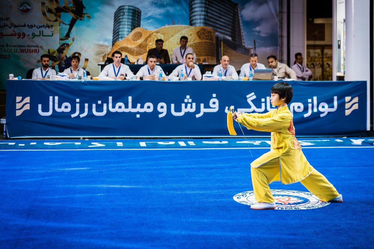 آموزش ووشو|خدمات آموزشی|قزوین, |دیوار