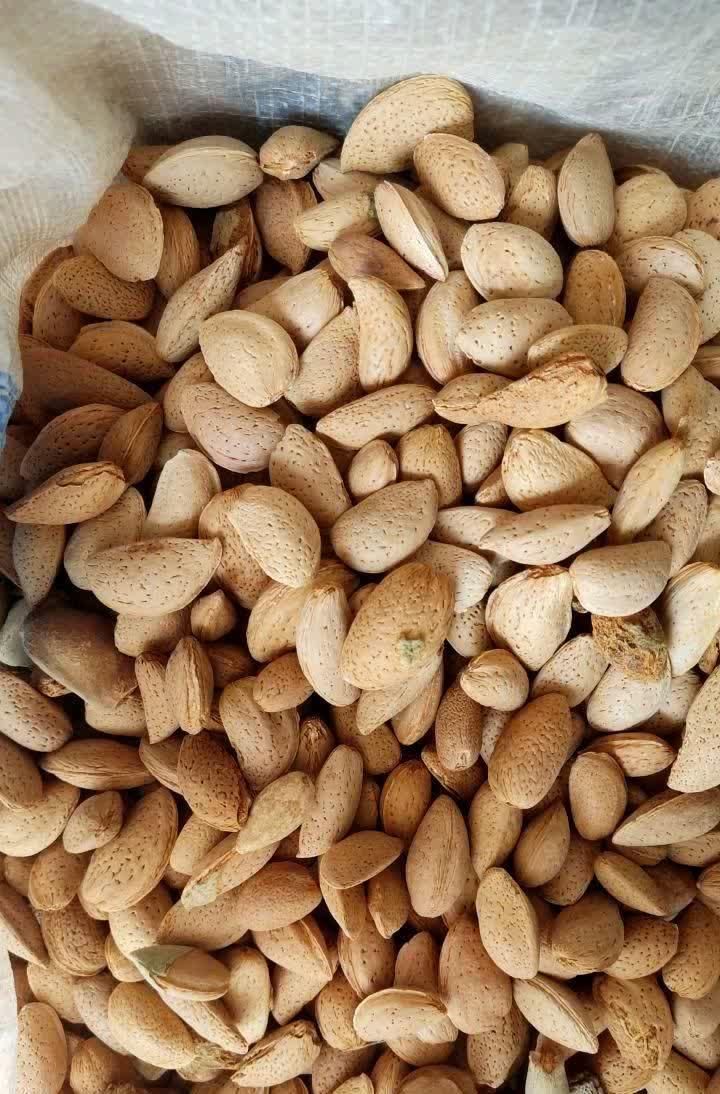 باغ گردو و بادام|خوردنی و آشامیدنی|فرخ‌شهر, |دیوار