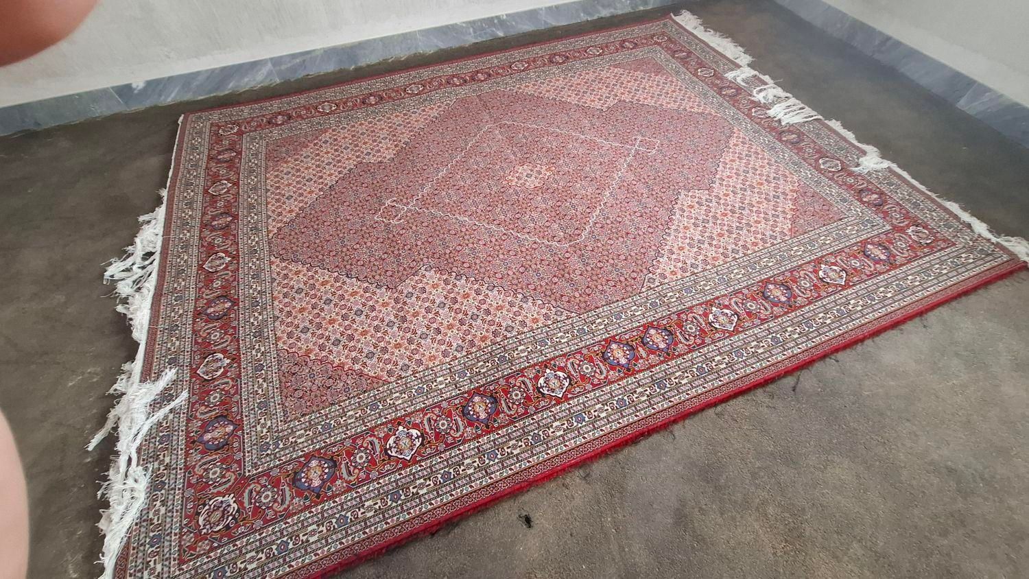 فرش ماهی ۹ متری|فرش|تبریز, |دیوار