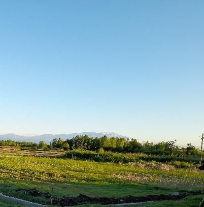 زمین مسکونی/گیلان لولمان|فروش زمین و ملک کلنگی|کوچصفهان, |دیوار