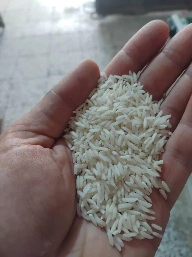 برنج هاشمی|عمده‌فروشی|رشت, حاجی آباد|دیوار