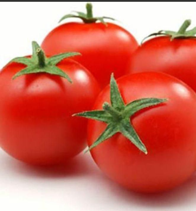فروش گوجه درجه یک ابگیری گوجه|خوردنی و آشامیدنی|مشهد, اروند (کشف)|دیوار