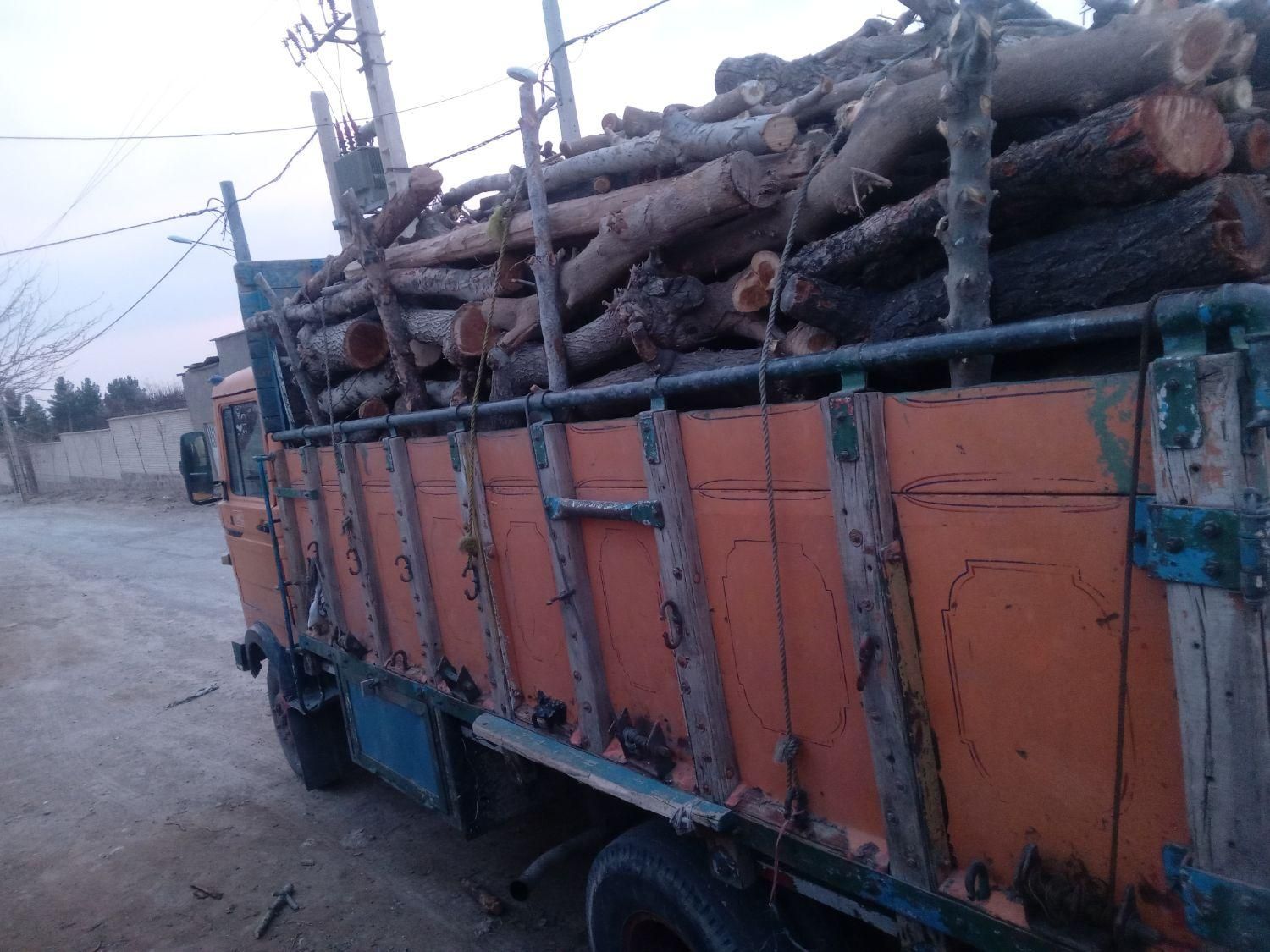 خرید چوب قطع درخت هرس درخت برش درخت|خدمات باغبانی و درختکاری|مشهد, رسالت|دیوار