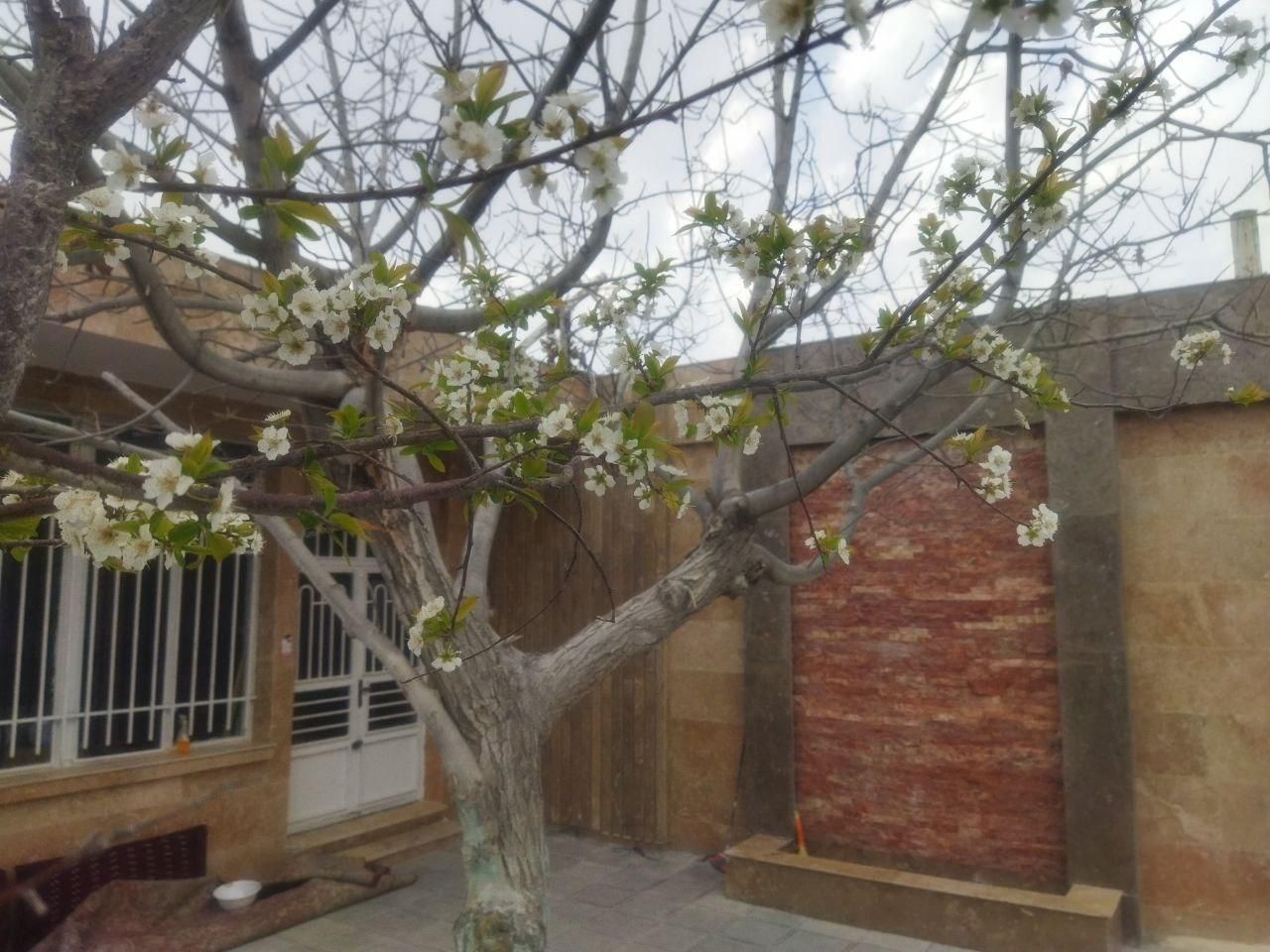 باغ تالار فدک توس ۸۵|خدمات پذیرایی، مراسم|مشهد, شهرک مطهری|دیوار