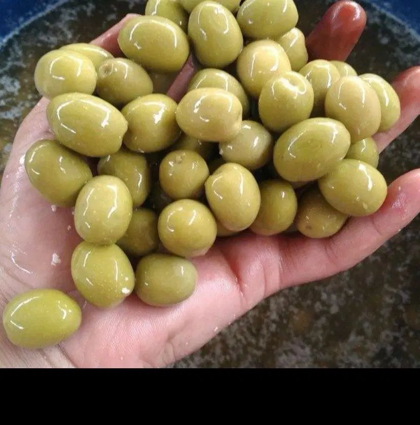 زیتون پرورده ،زیتون و انواع کره رستورانی|خوردنی و آشامیدنی|کرج, حیدرآباد|دیوار
