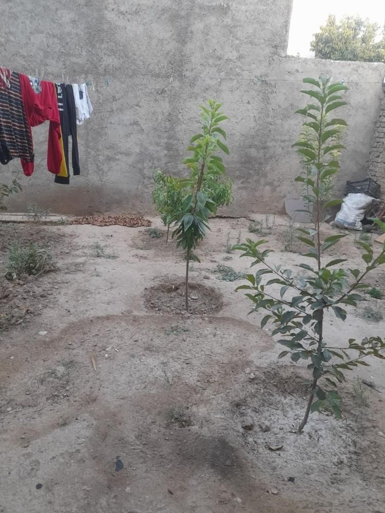 سوئیت برای مسافر|اجارهٔ کوتاهمدت آپارتمان و سوئیت|آشخانه, |دیوار