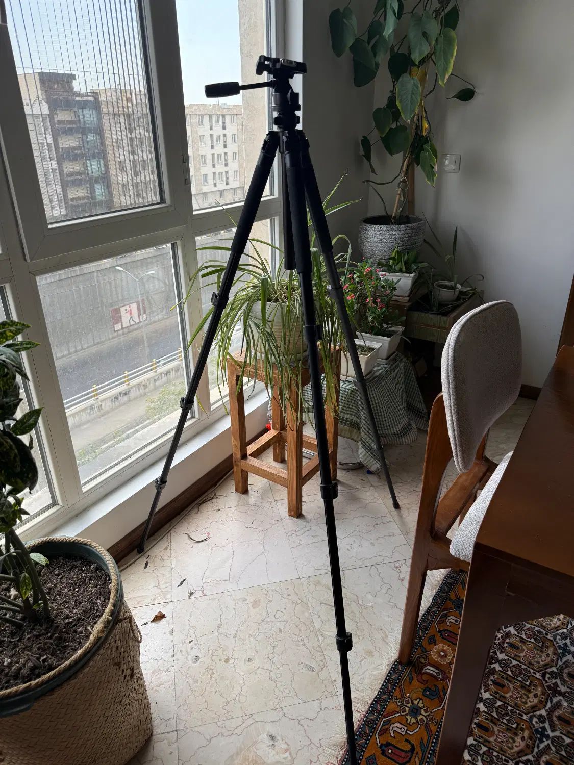 سه پایه دوربین حرفه ای weifeng wf-6663A|دوربین عکاسی و فیلم‌برداری|تهران, آسمان|دیوار