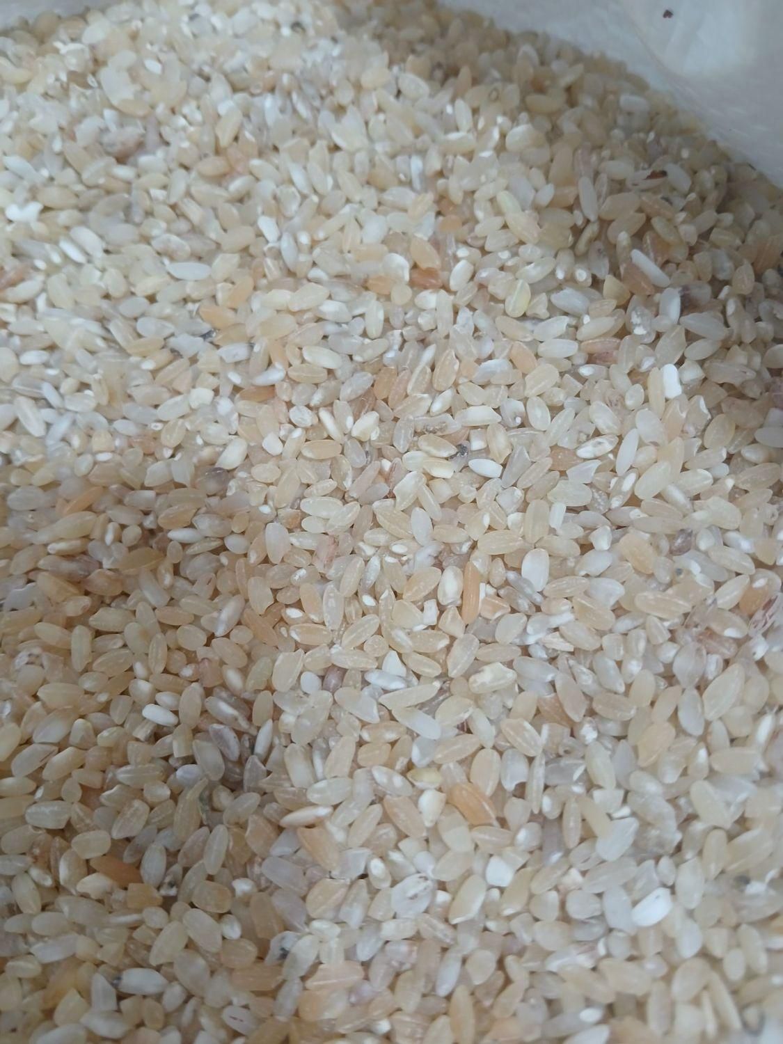 برنج|خوردنی و آشامیدنی|ایلام, |دیوار