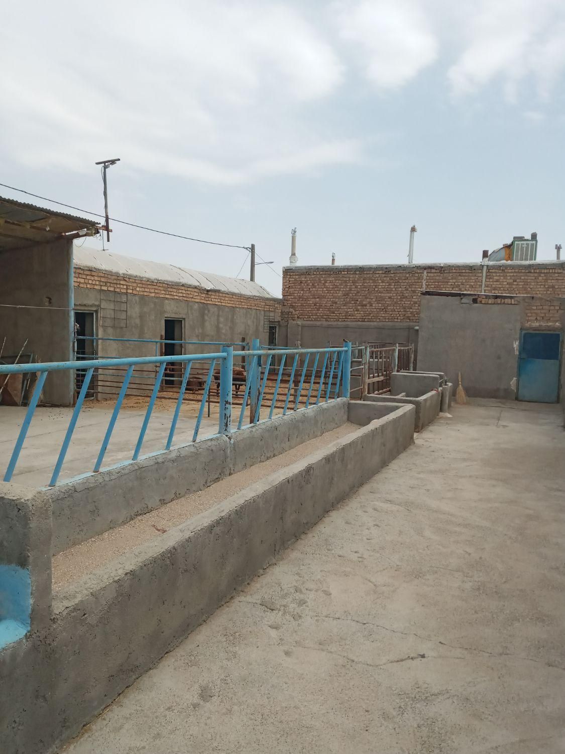 دامداری ۸۰۰ متری دارای مجوز با منزل مسکونی۱۰۰متری|فروش دفتر صنعتی، کشاورزی، تجاری|نیشابور, شهرک فیروزه|دیوار
