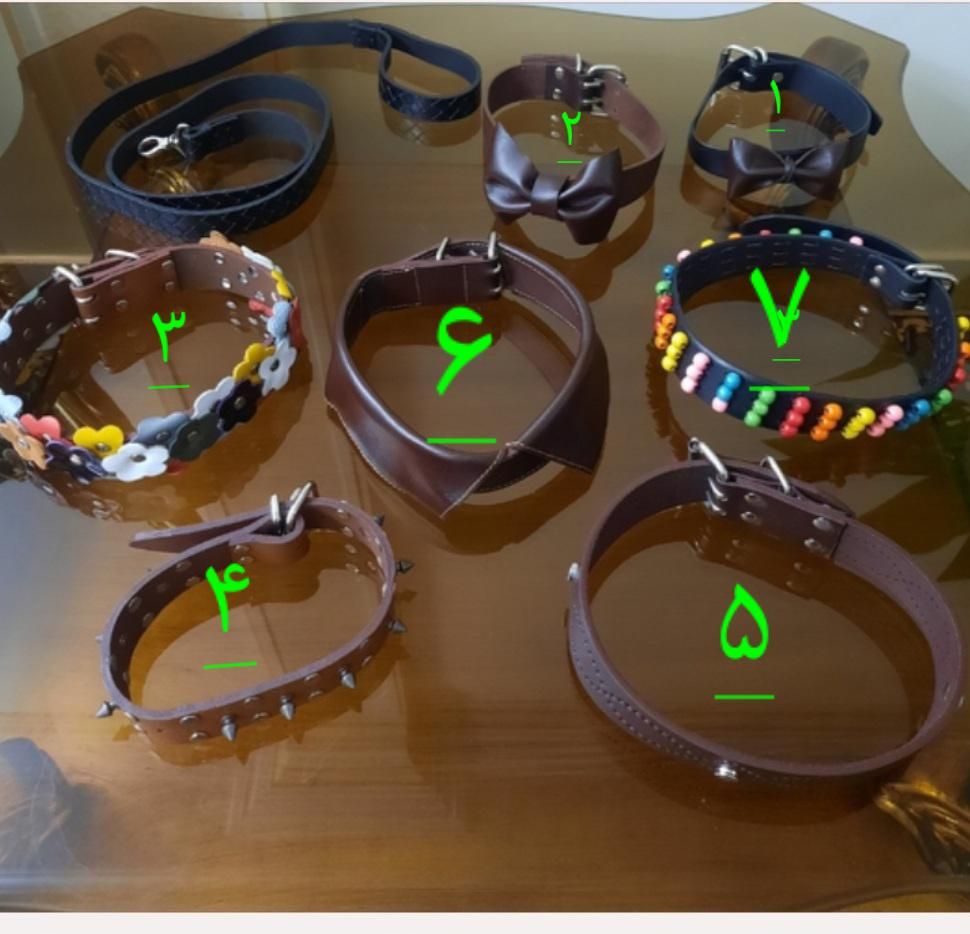 قلاده سگ (چرم اصل ، چرم طبیعی، طرح فانتزی)|لوازم جانبی حیوانات|تهران, حکیمیه|دیوار