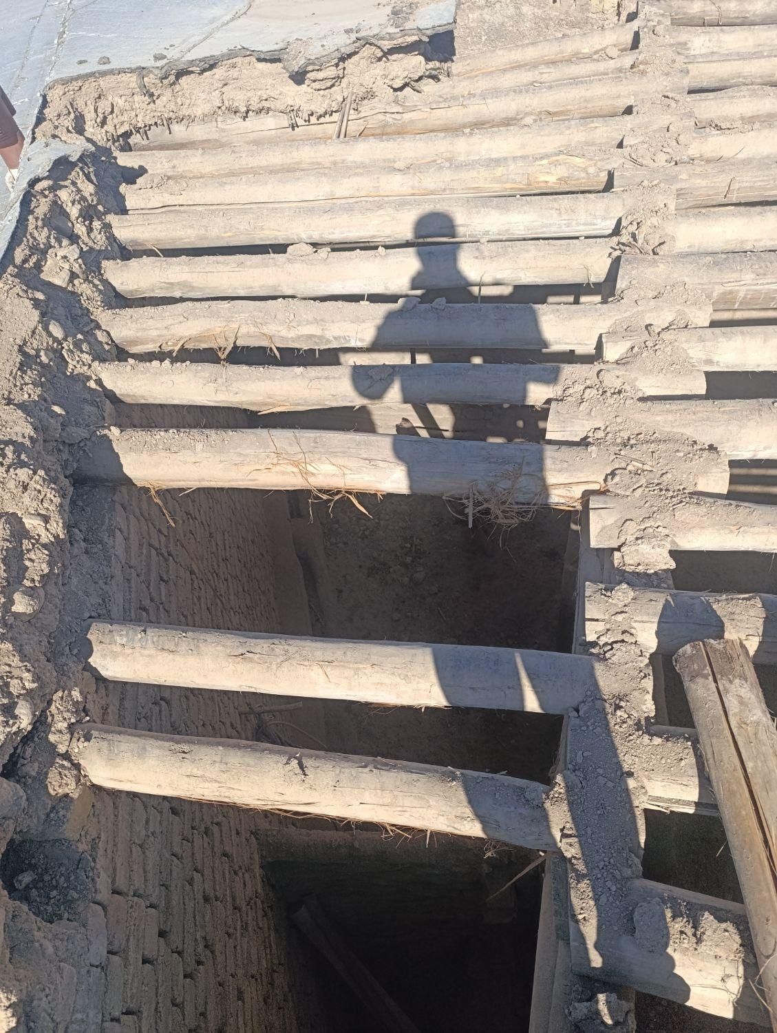 خرید چوب|خدمات باغبانی و درختکاری|زنجان, |دیوار