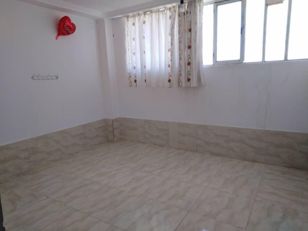 کاشی و سرامیک کاری و پیکور برقی|خدمات پیشه و مهارت|داراب, |دیوار