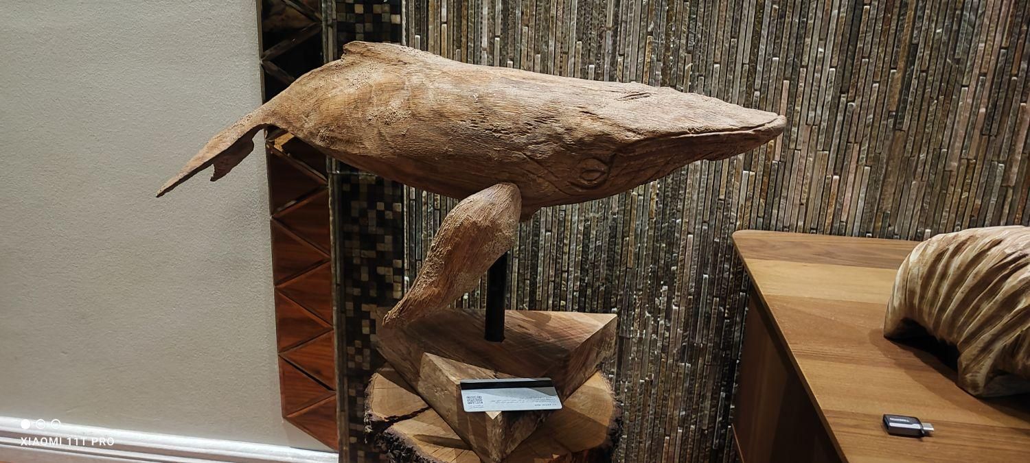 مجسمه نهنگ از چوب گردو کار استادکار اصفهانی|مجسمه، تندیس، ماکت|قزوین, |دیوار