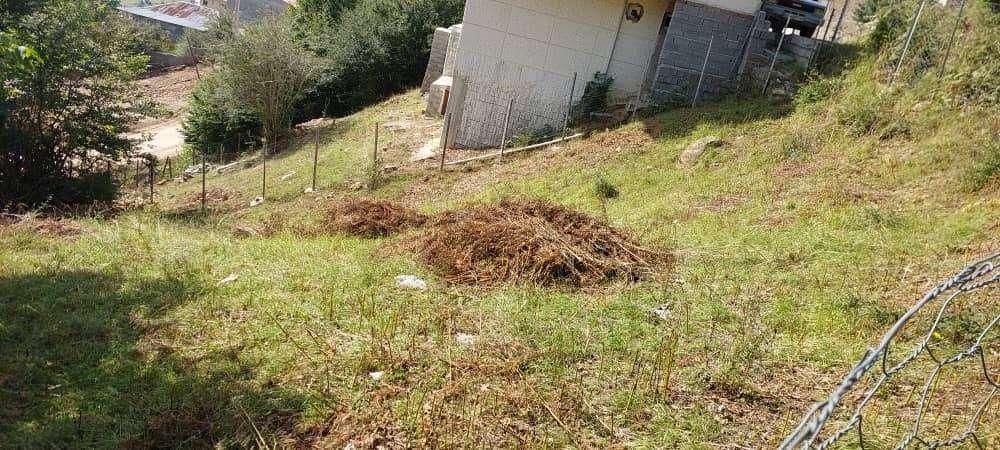 فروش زمین ییلاقی روستای رجه(مناسب جهت ساخت ویلا)|فروش زمین و ملک کلنگی|پل سفید, |دیوار