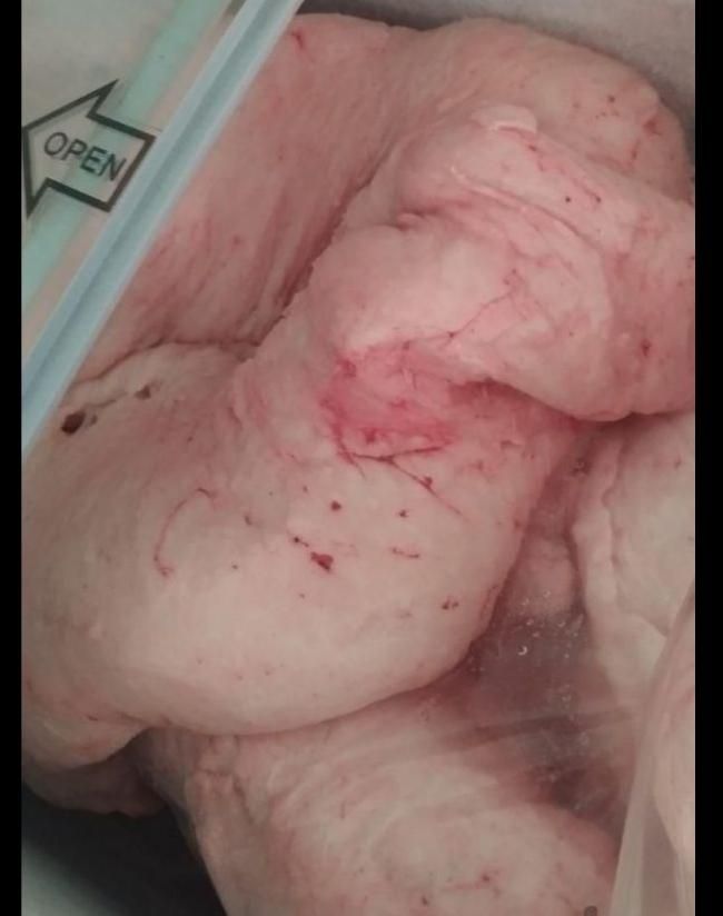 دنبه بره تازه وتمیز|خوردنی و آشامیدنی|قم, زند آباد|دیوار