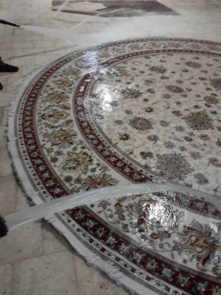 قالیشویی تاج شستشوی متفاوت کل شهر|خدمات نظافت|قم, باجک دو|دیوار