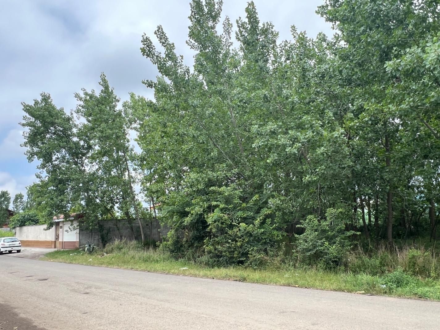 ۷۰۰ متر زمین سیاه اسطلخ برِ جاده|فروش زمین و ملک کلنگی|رشت, سیا اسطلخ|دیوار