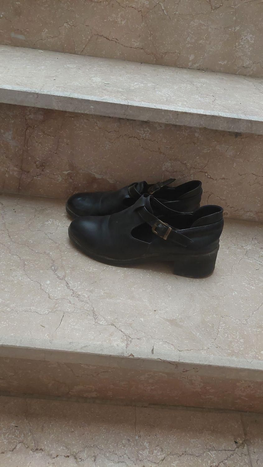 تعدادی کفش کتونی کالج رسمی دمپایی|کیف، کفش، کمربند|پاکدشت, پاکدشت (مامازند)|دیوار