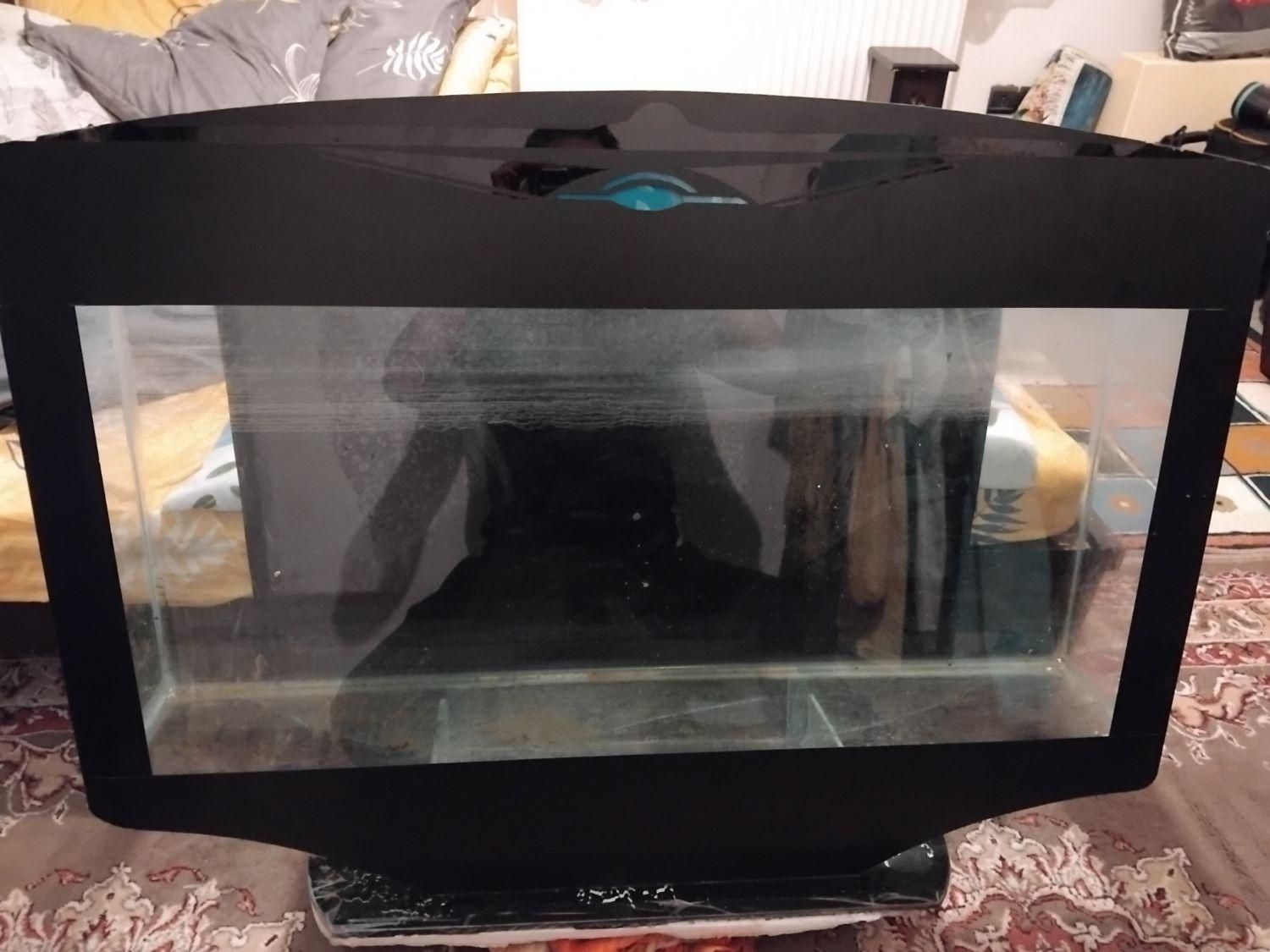 اکواریوم|ماهی|گلبهار, شهر جدید گلبهار|دیوار