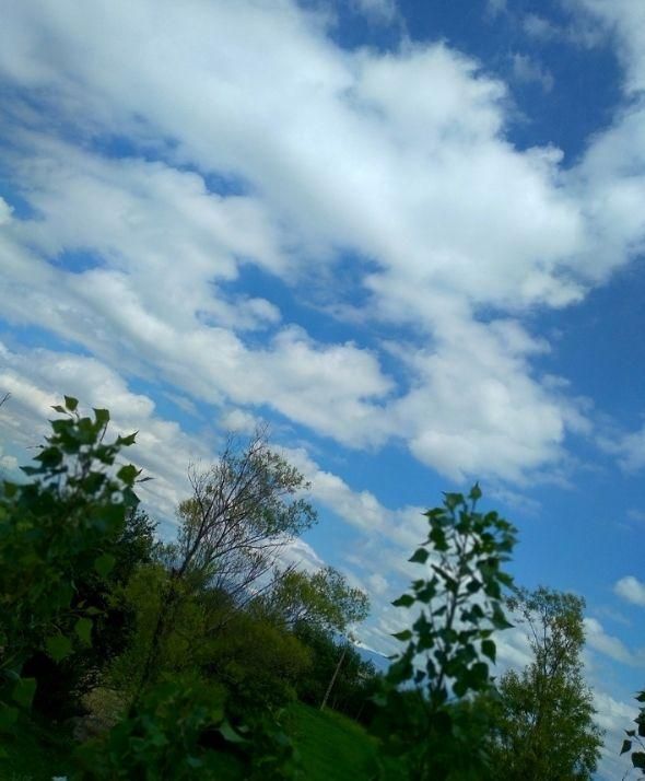 خانه ویلایی در جاده ارجستان|اسکان اضطراری|اردبیل, |دیوار