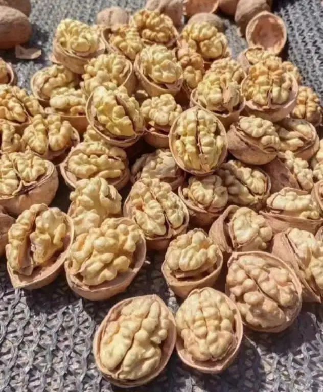 فروش عمده گردو خارجی باکیفیت قیمت خوب|خوردنی و آشامیدنی|اصفهان, شهرک کاوه|دیوار