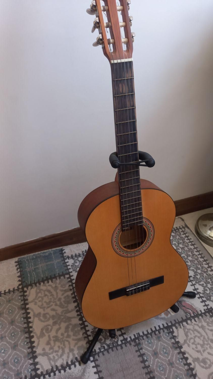 گیتار|گیتار، بیس، امپلیفایر|رودهن, |دیوار