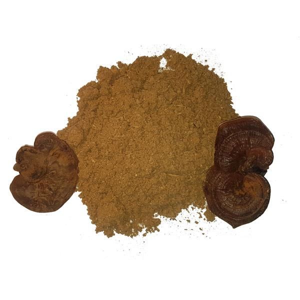 قارچ گانودرما (قرمز)|آرایشی، بهداشتی، درمانی|شیراز, کوشک بیدک|دیوار