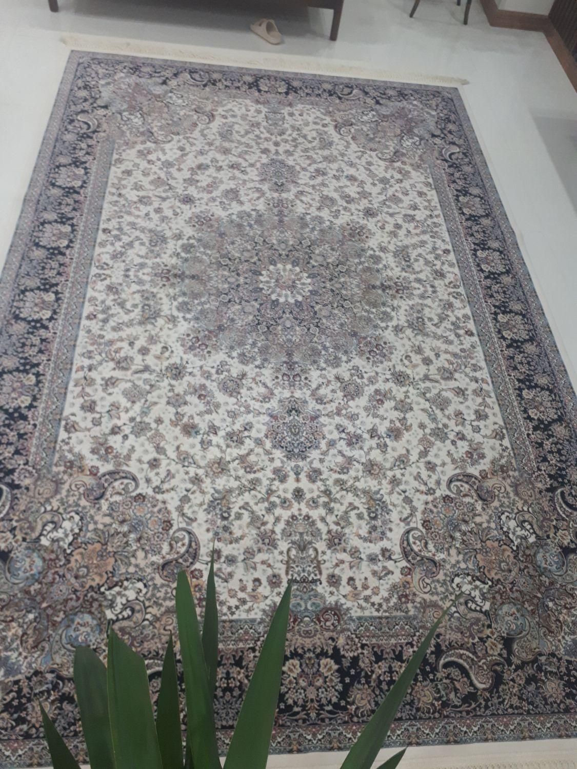 سه تخته فرش۱۲۰۰ شانه کرم تافته هزارگل گلستان کاشان|فرش|الوند, |دیوار