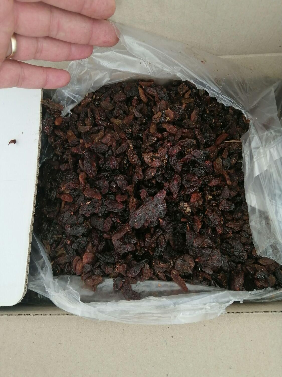 کشمش آفتابی کاشمر گله سیاه ممیز مویز|خوردنی و آشامیدنی|مشهد, سرافرازان|دیوار