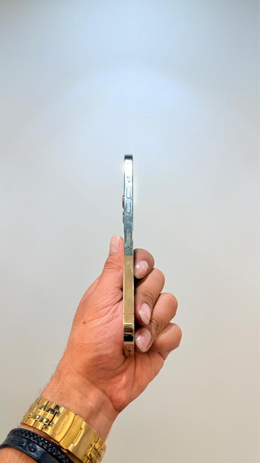 اپل iPhone 12 Pro Max شرایط عالی|موبایل|اصفهان, جلفا|دیوار