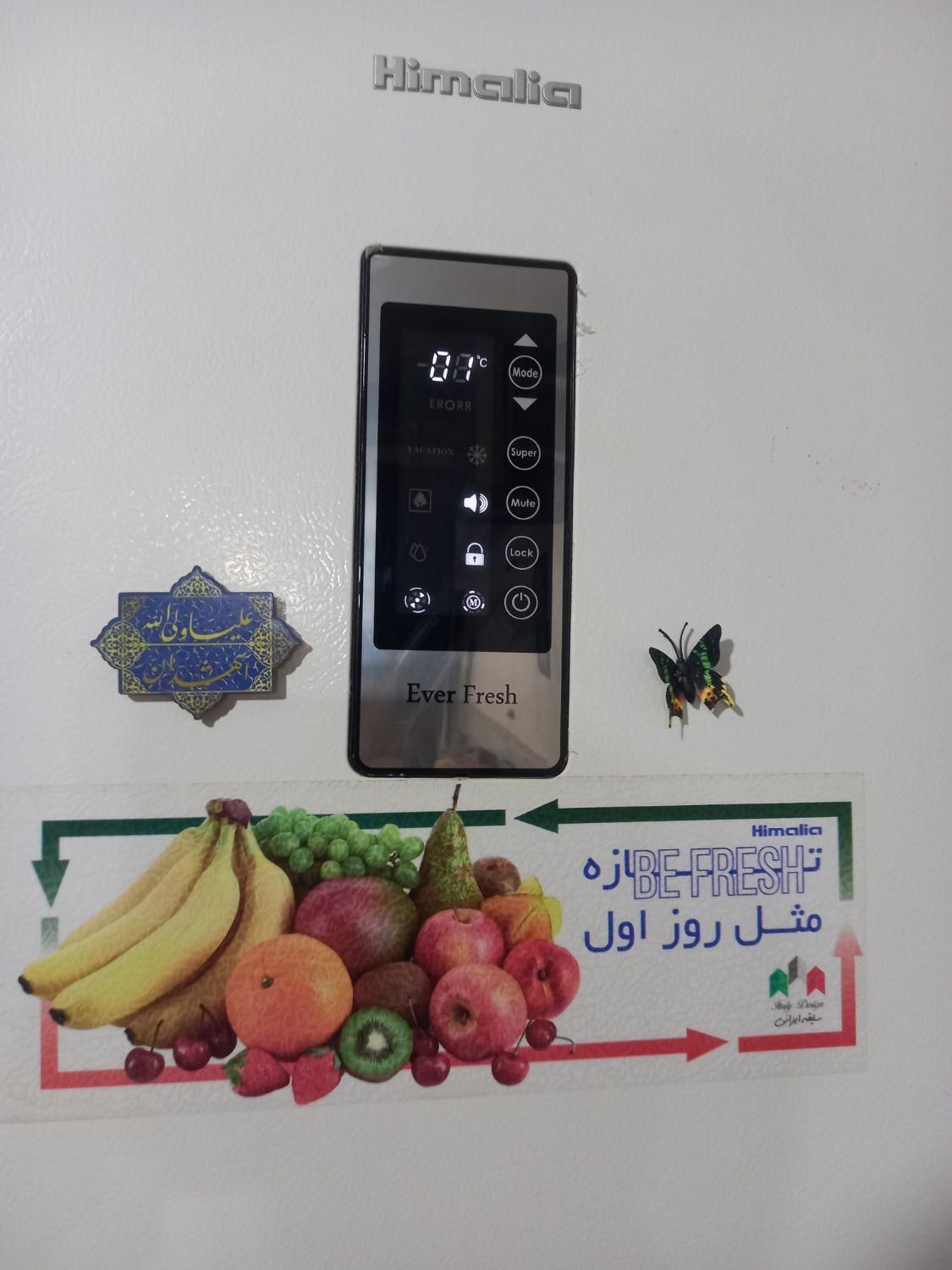 تعمیرات تخصصی یخچال بخاری لباسشویی|خدمات پیشه و مهارت|گلبهار, شهر جدید گلبهار|دیوار